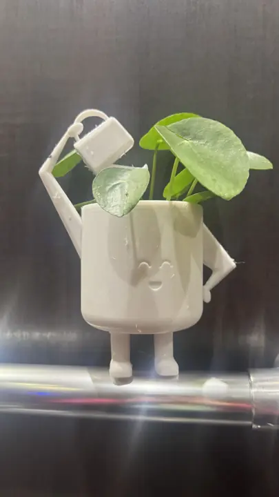 Cache-pot « L’arroseur arrosé » avec une plante