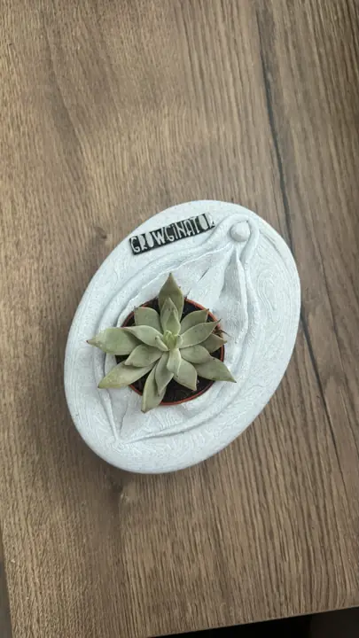Cache-pot mural avec une plante grasse