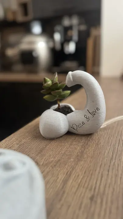 Cache-pot blanc sculpté avec une plante grasse