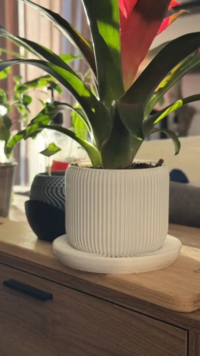 Pot côtelé blanc avec une broméliacée