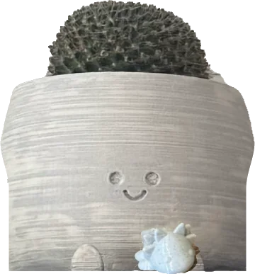 Cache-pot souriant avec un cactus