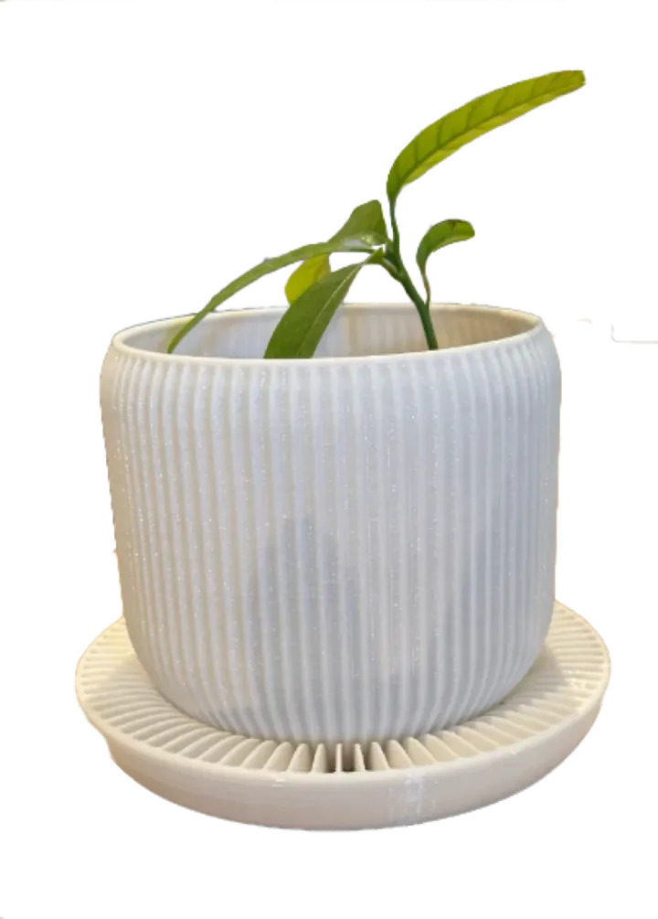Pot côtelé blanc avec soucoupe