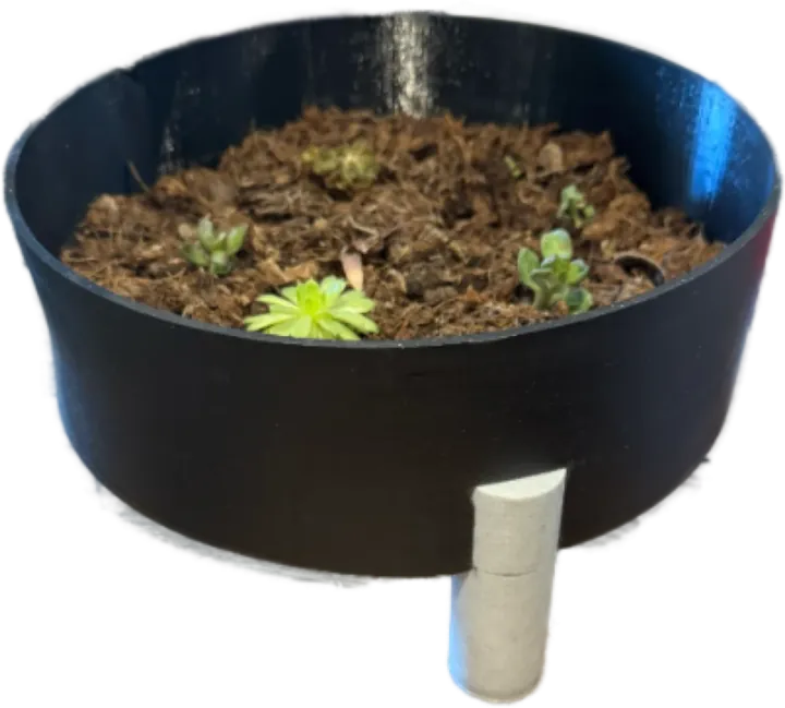Pot noir pour la culture hydroponique passive