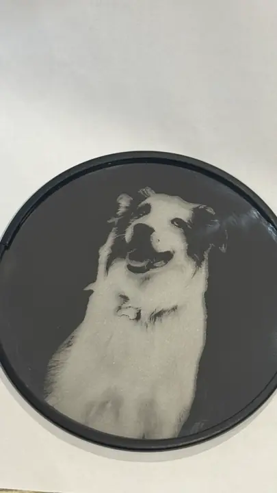 Portrait photo d’un chien gravé