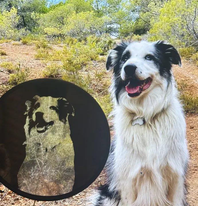 Portrait de chien gravé au laser, posé à côté de la photo d’origine