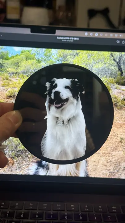Portrait gravé d’un chien tenu devant la photo d’origine