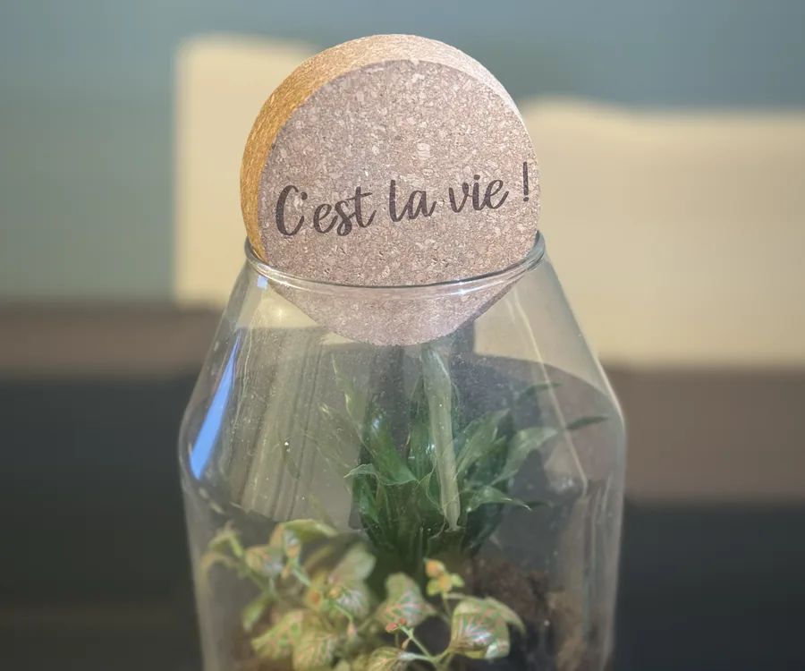 Terrarium fermé par un bouchon en liège gravé « C’est la vie ! »