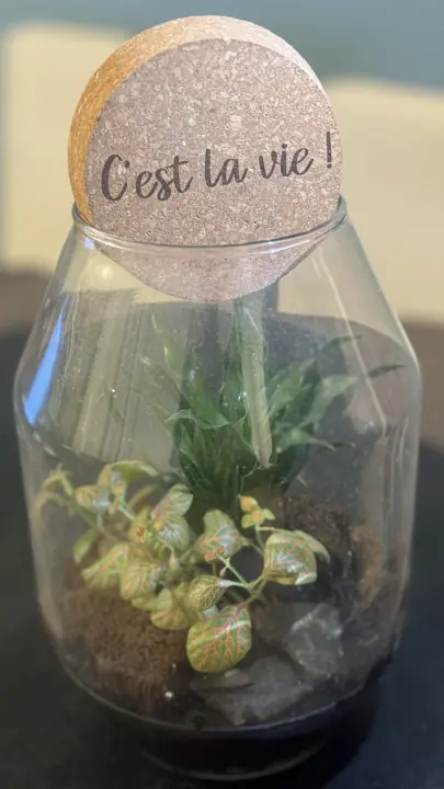 Terrarium avec bouchon en liège gravé